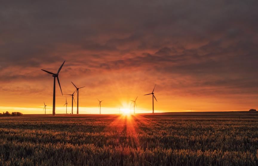 Make Carbon Offsetting a Meaningful Part of Your Climate Journey